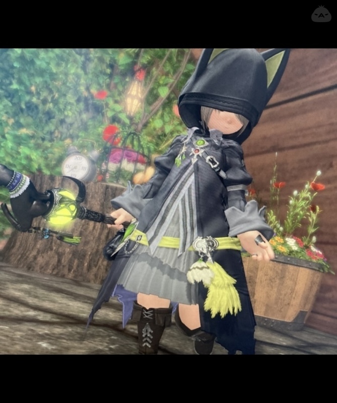 黒(猫)魔道士