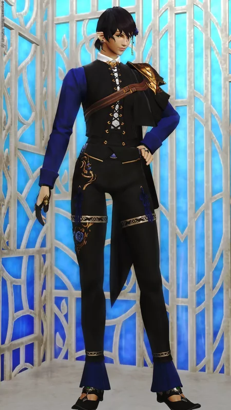 ヴァンガード 専用 ヴァンガード装備 | MIRAPRI SNAP